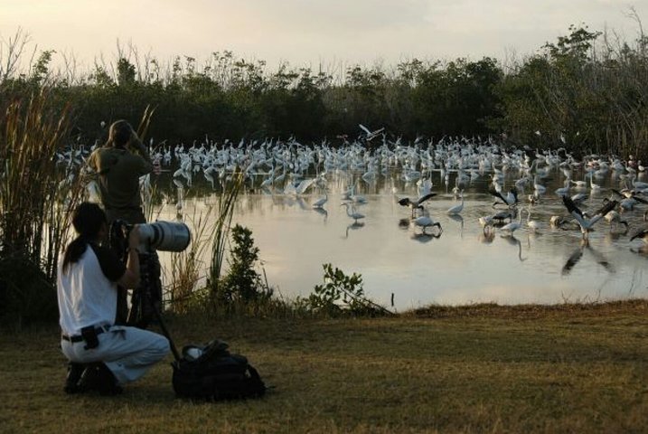2-Day Birding Experience in the Heart of Africa Burundi