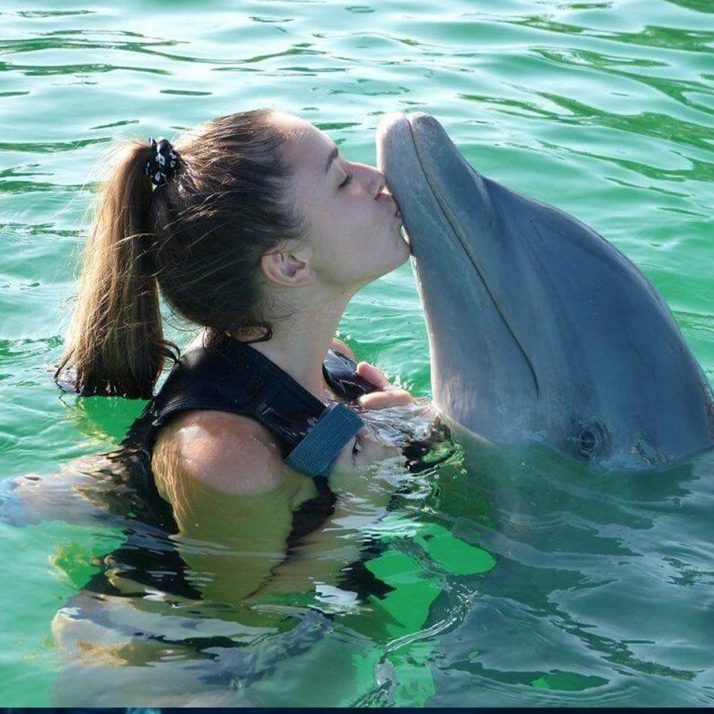 Dolphin Tour