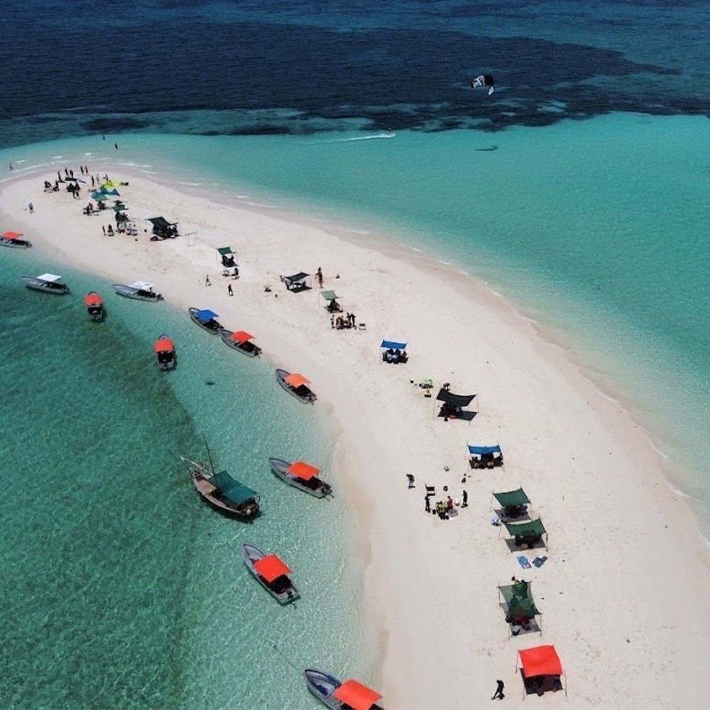 Private Safari Blue & Pungume Sandbank Trip