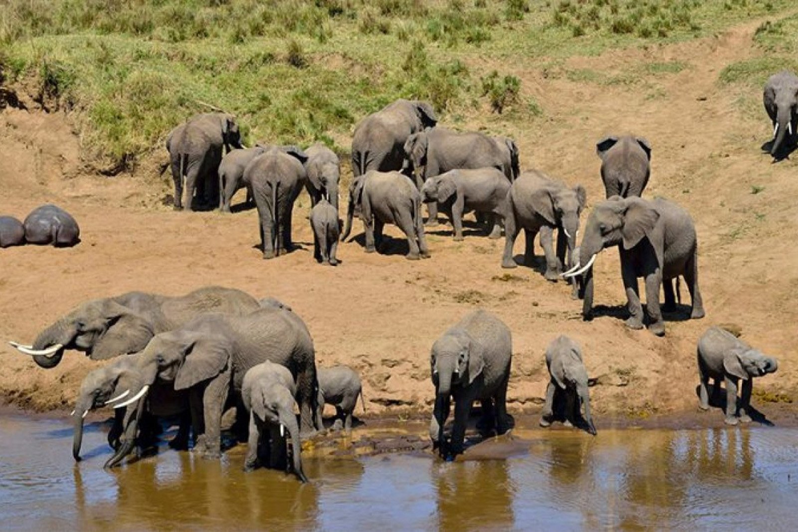 3-Day Luxury Safari in Serengeti and Ngorongoro Crater